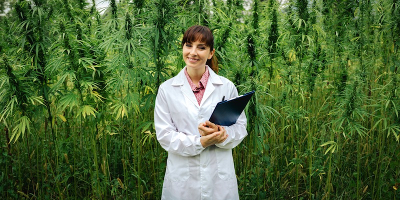 Medical Marijuana Doctors