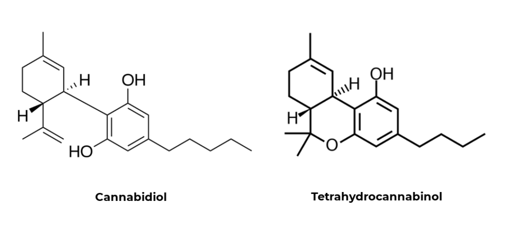 difference between cannabidiol and tetrahydrocannabinol