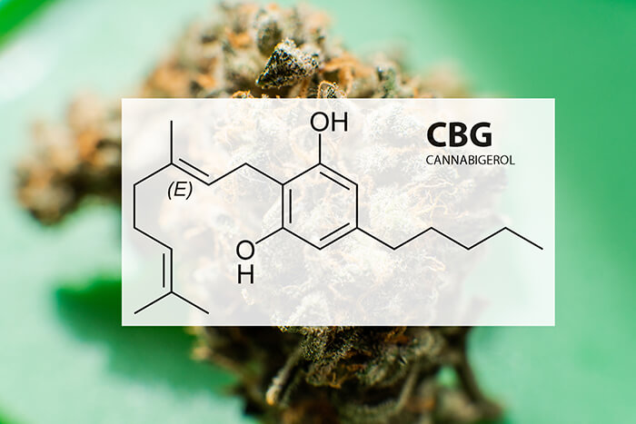 what Is CBG and How Is It Different from CBD?