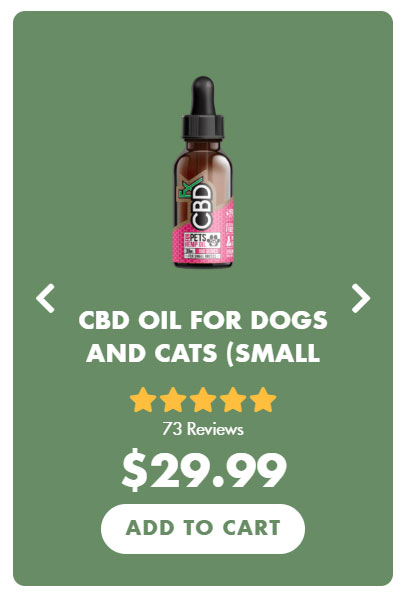 Buy CBD Oil for dogs and cats